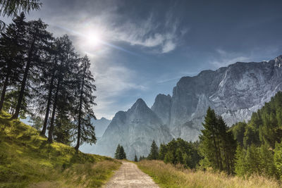 Road amidst trees against sky