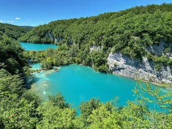 Scenic view of lake and trees against blue sky