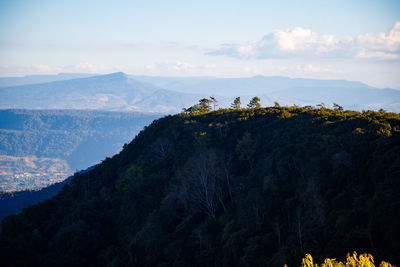 View of the beautiful mountains in the evening at phu ruea peak,loei province, thailand 