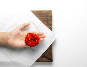 High angle view of person holding red over white background