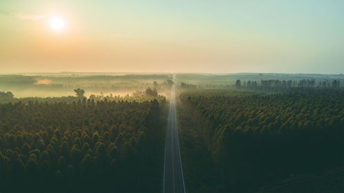 Aerial view of road amidst trees against sky during sunset