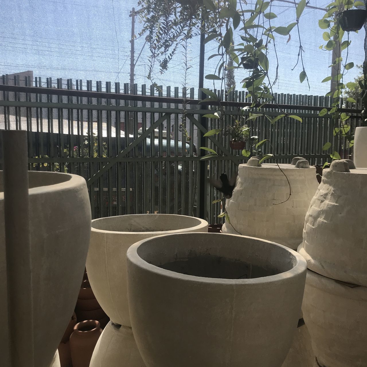 CLOSE-UP OF POTTED PLANTS AGAINST RAILING