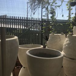 Close-up of potted plants by railing