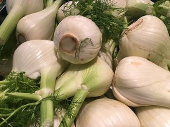 High angle view of vegetables