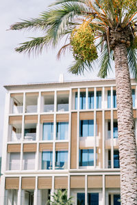Low angle view of palm tree against building
