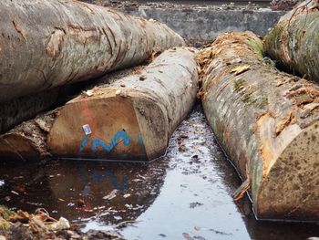 Close-up of rusty wood