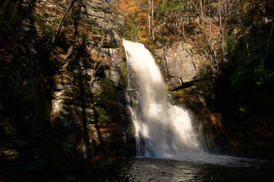 Scenic view of waterfall in forest