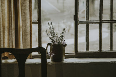 Potted plants on window sill at home