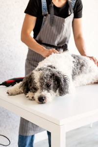 Midsection of man with dog standing at home