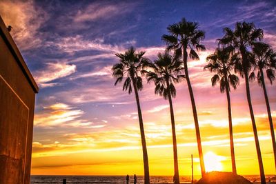 Silhouette palm trees on beach against sky during sunset