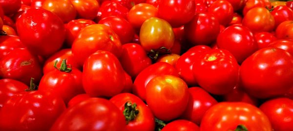 Full frame shot of tomatoes