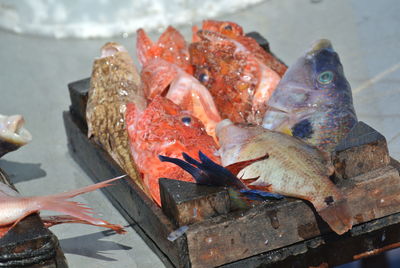 High angle view of fish at market