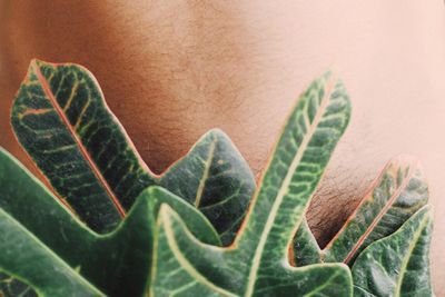 Close-up of woman with leaf