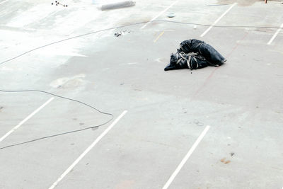 High angle view of crab on zebra crossing