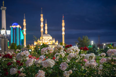 View of flowering plants and buildings against sky