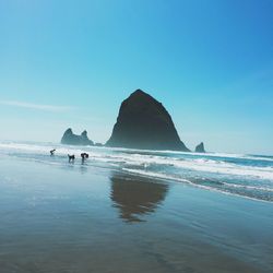 Scenic view of sea against clear sky