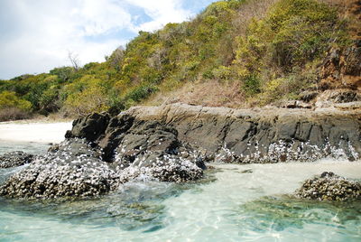 Scenic view of sea against sky