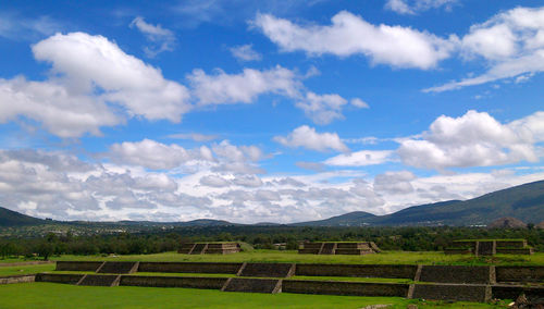Scenic view of agricultural field against sky
