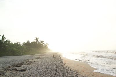 Scenic view of beach against clear sky