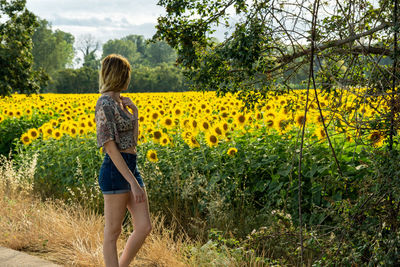 Relaxing with sunflowers 