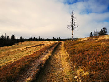 Scenic view of field against sky