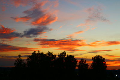 Silhouette trees against sky during sunset
