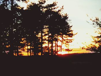 Silhouette trees against sky during sunset