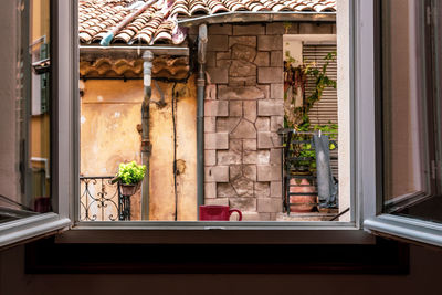 Potted plants on window sill of building