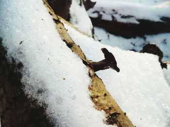 Close-up of snow on water