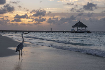 Scenic view of beach against sky during sunset