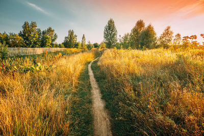 Scenic view of field against sky during sunset