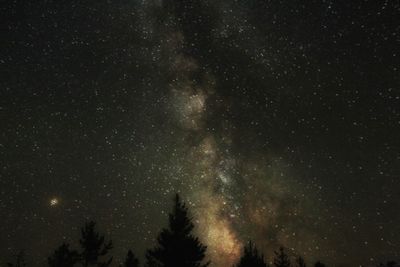 Low angle view of trees against star field at night