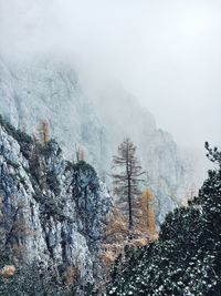 Scenic view of snow covered land against sky