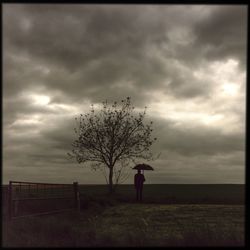 Trees on field against cloudy sky