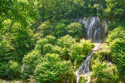 Carsa waterfall in romania cheile nerei