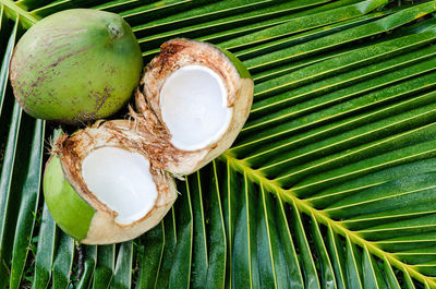 Young fresh sweet thai coconut fruits with white meat for summer fruit concept.