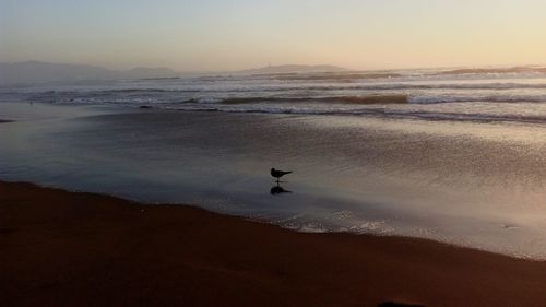 Scenic view of beach against sky during sunset