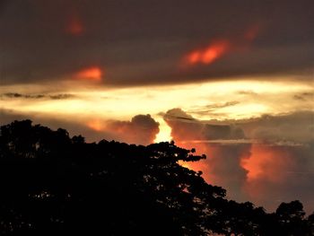 Silhouette trees against sky at night