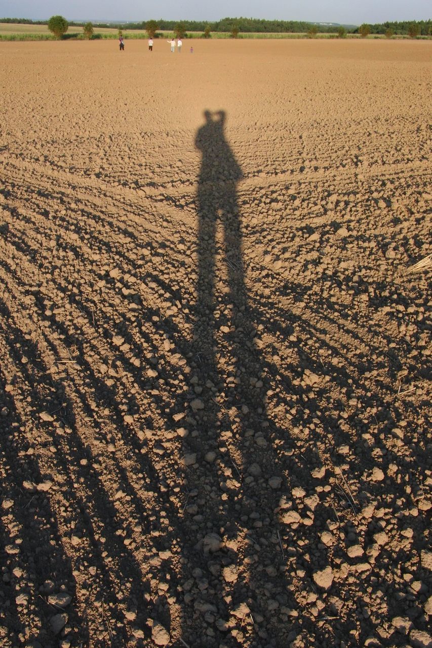 HIGH ANGLE VIEW OF PERSON SHADOW ON FIELD