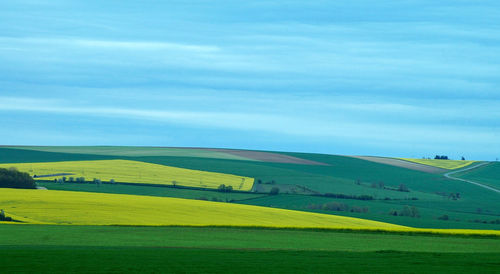 Scenic view of field against cloudy sky