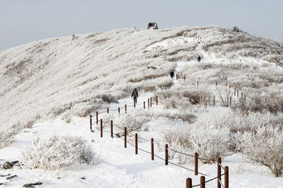 Scenic view of snow covered field