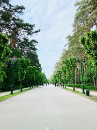 Empty road along trees and plants in city