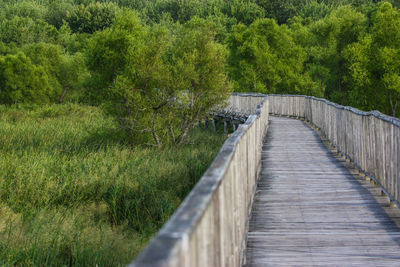 Footbridge amidst trees against sky