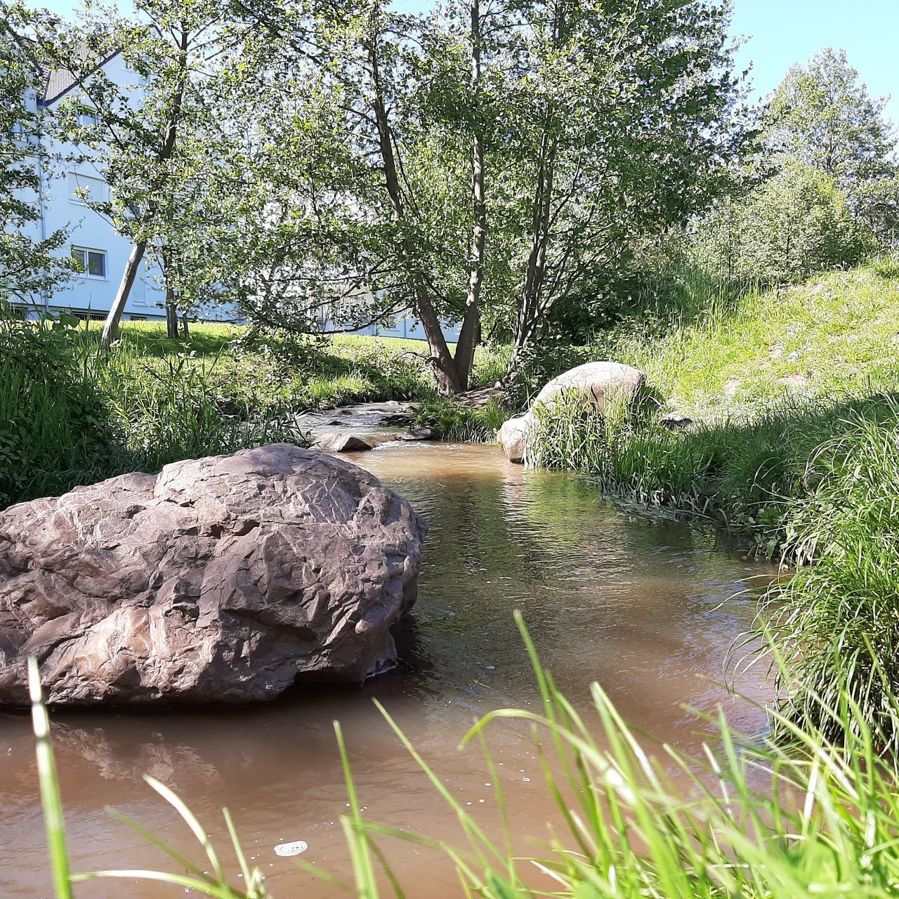 SCENIC VIEW OF ROCKS IN LAKE