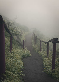 View of footpath in foggy weather