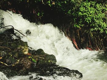 Scenic view of waterfall