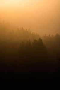 Silhouette trees on landscape against sky at sunset