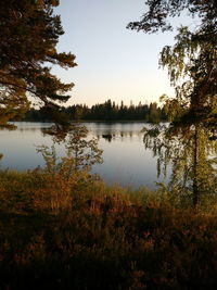 Scenic view of lake