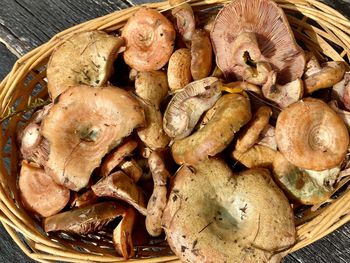 High angle view of mushrooms in basket
