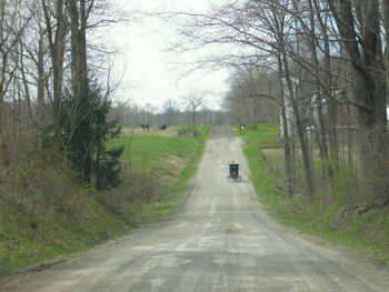 Road amidst bare trees against sky